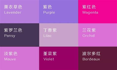 存錢要印章嗎 紫色和什么颜色搭配